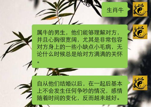  华体会体育app官方下载