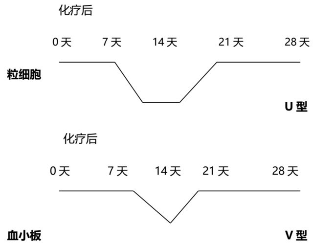  华体会APP官网