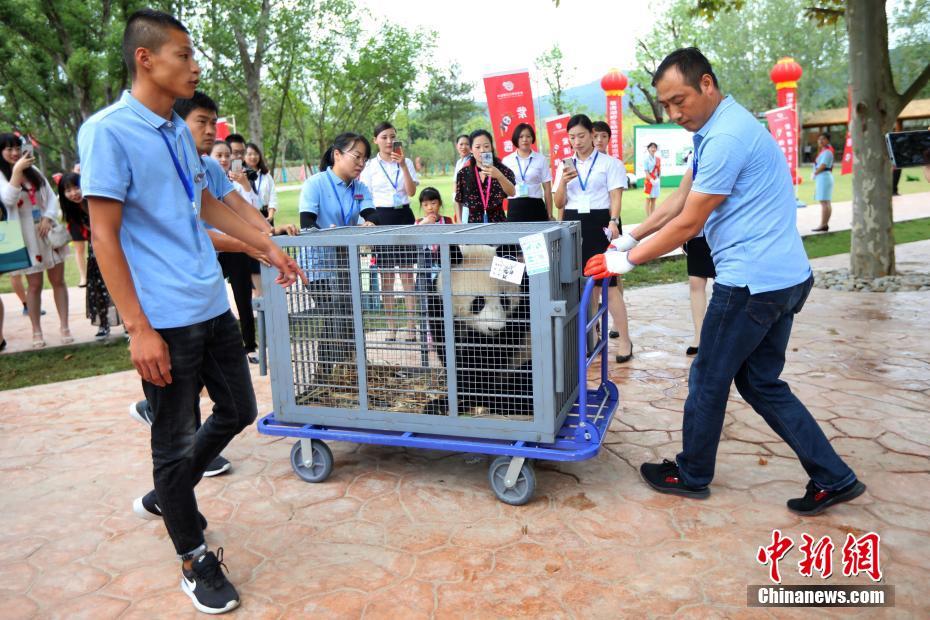  华体会体育app官方下载