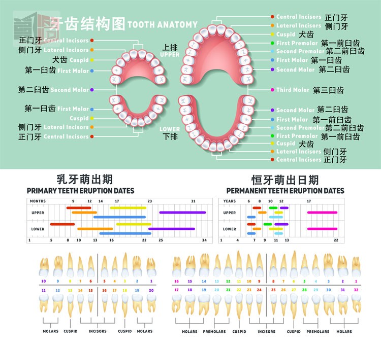  华体会体育app官方下载