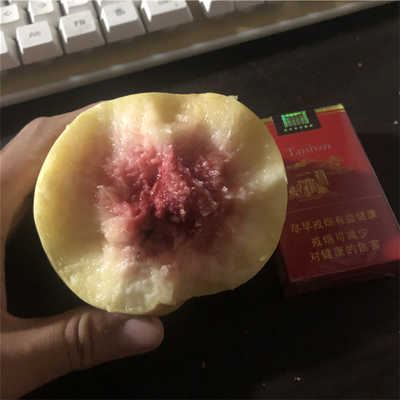  华体会APP官网