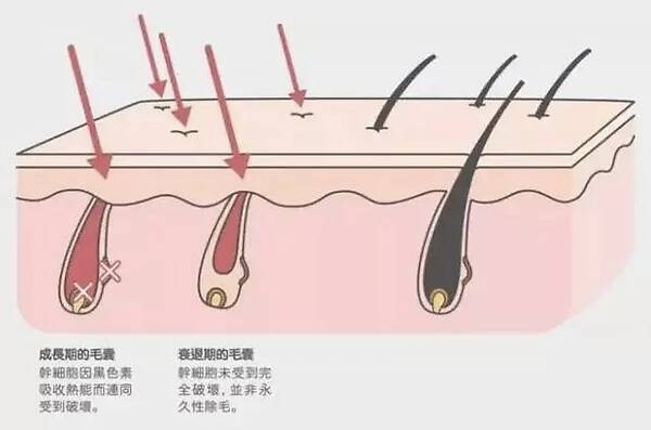  华体会体育app官方下载