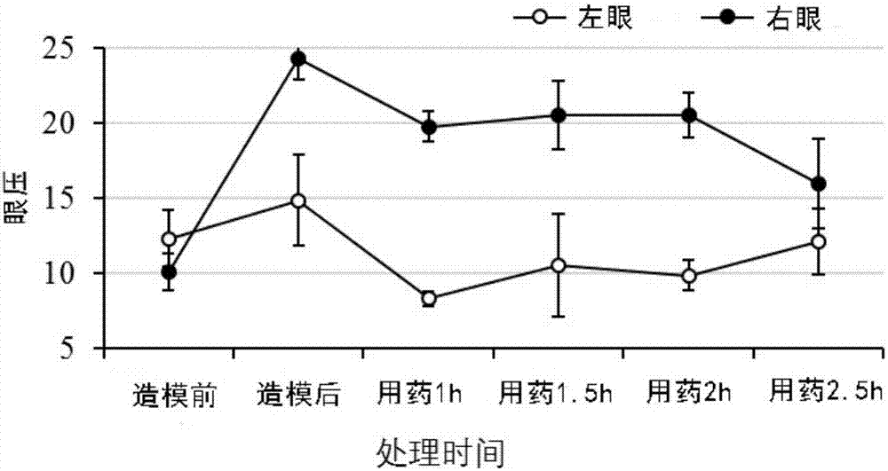  华体会体育app官方下载