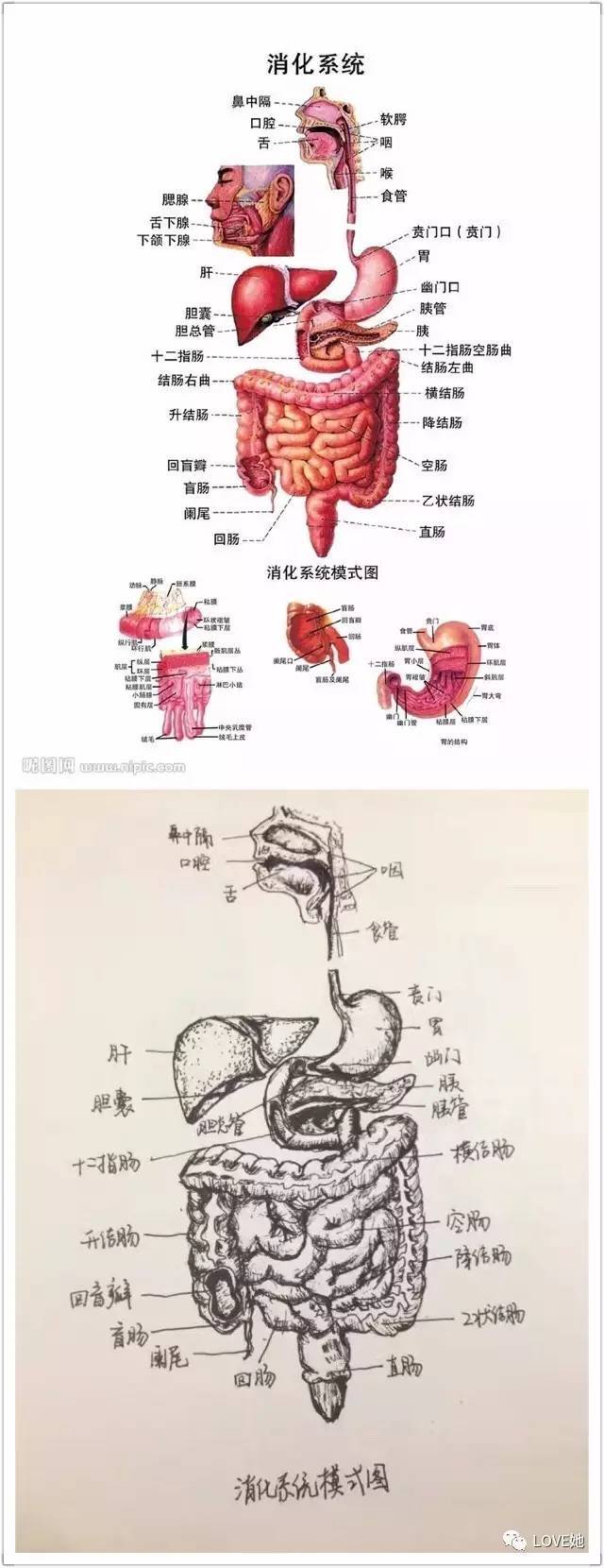 华体会体育